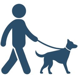 Icon Spaziergang mit Hund – Symbol für 1:1 Mensch-Hund-Coaching in Basel